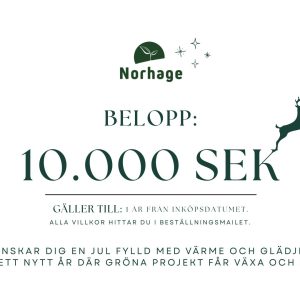 Presentkort på 10000 kr
