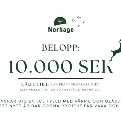 Presentkort på 10000 kr