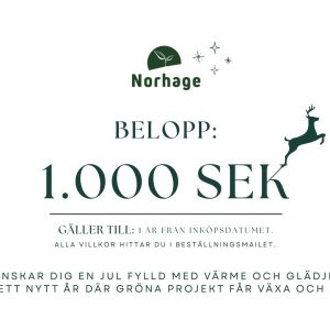 Presentkort på 1000 kr