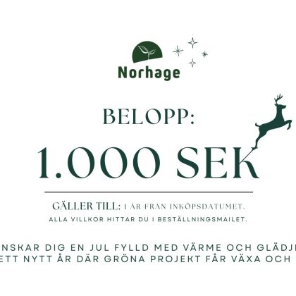 Presentkort på 1000 kr