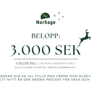 Presentkort på 3000 kr