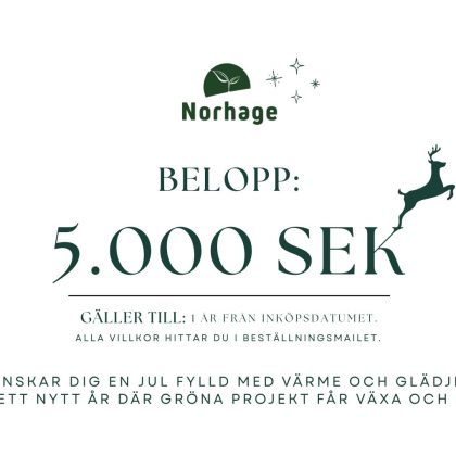 Presentkort på 5000 kr
