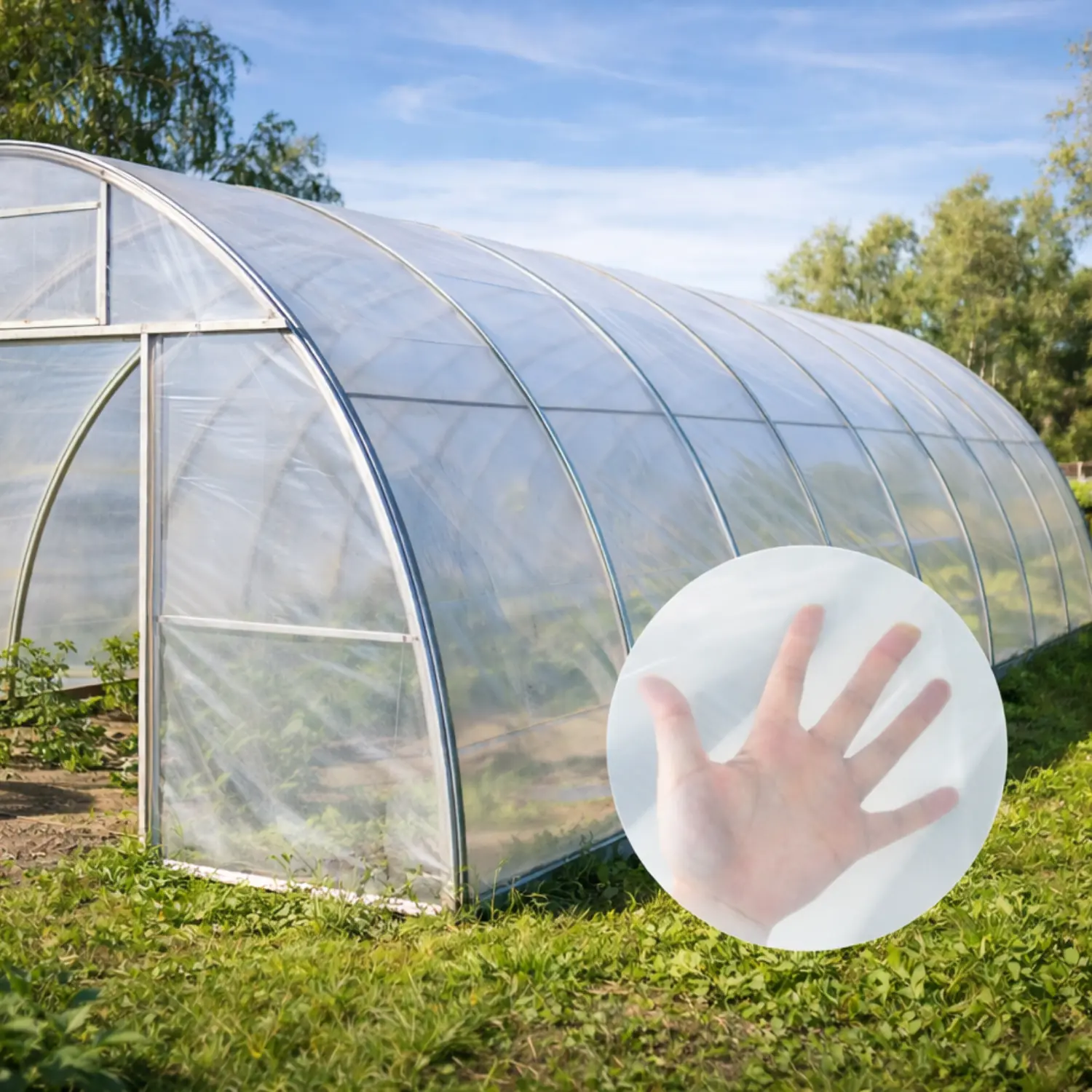 Hånd som viser gjennomsiktigheten til drivhusplast med drivhus og planter i bakgrunnen.