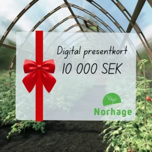 Digitalt presentkort – 10 000 SEK