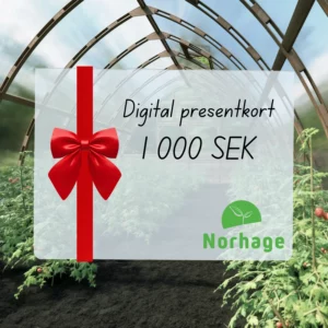 Digitalt presentkort – 1 000 SEK