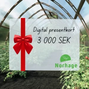 Digitalt presentkort – 3 000 SEK