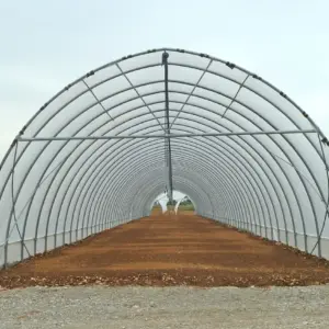 Tunnelväxthus system